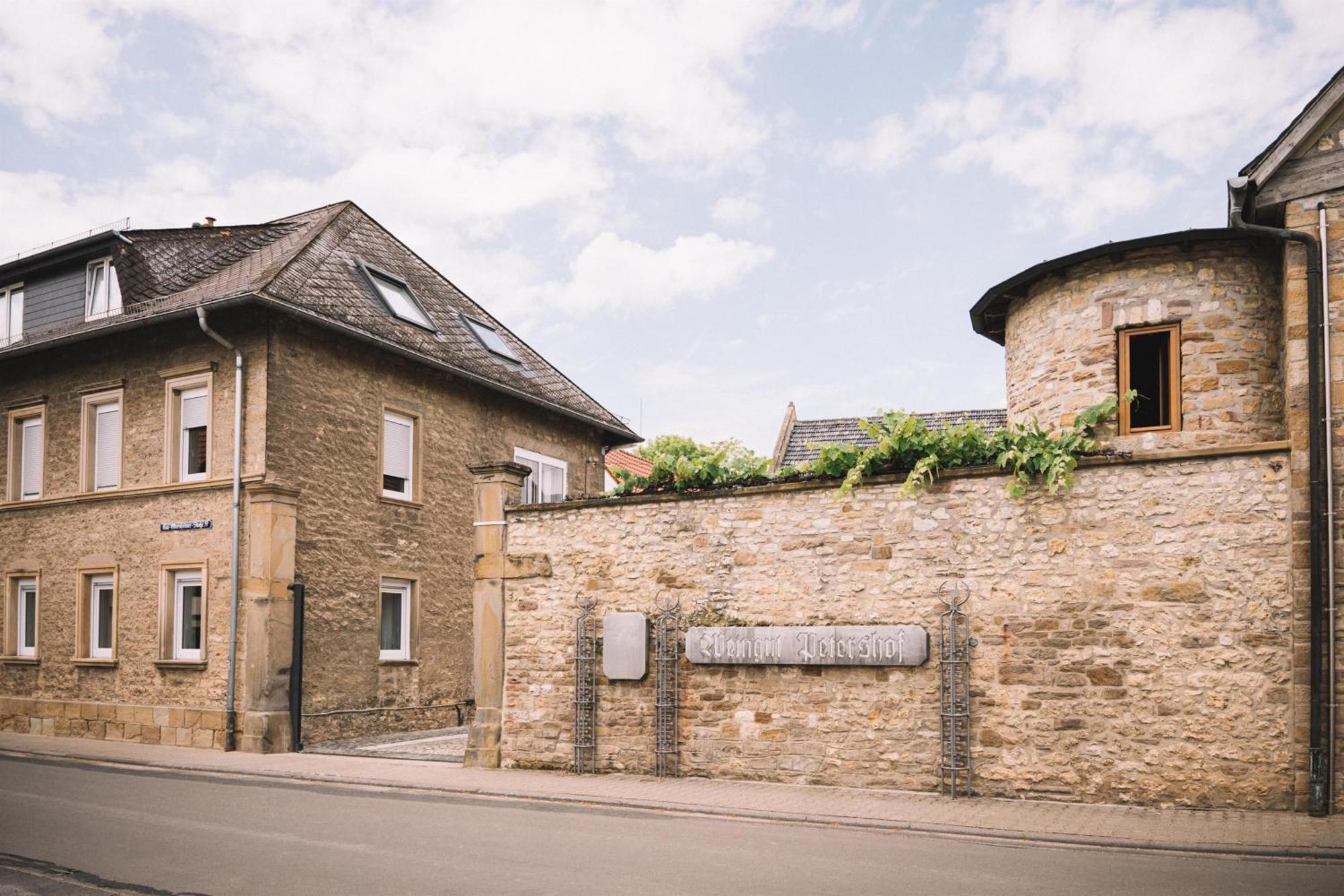 Weingut Petershof Lejlighed Alzey Eksteriør billede