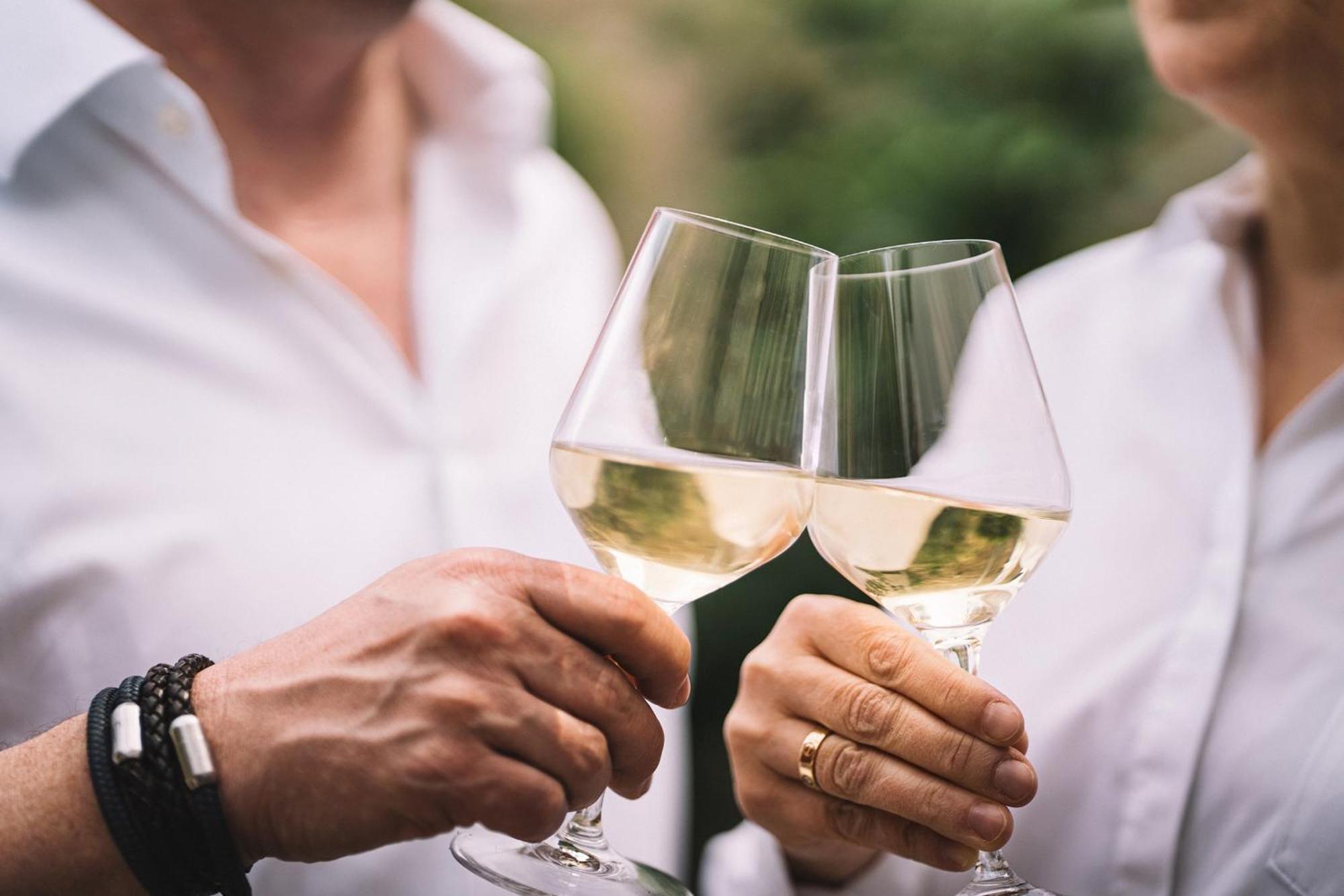 Weingut Petershof Lejlighed Alzey Eksteriør billede