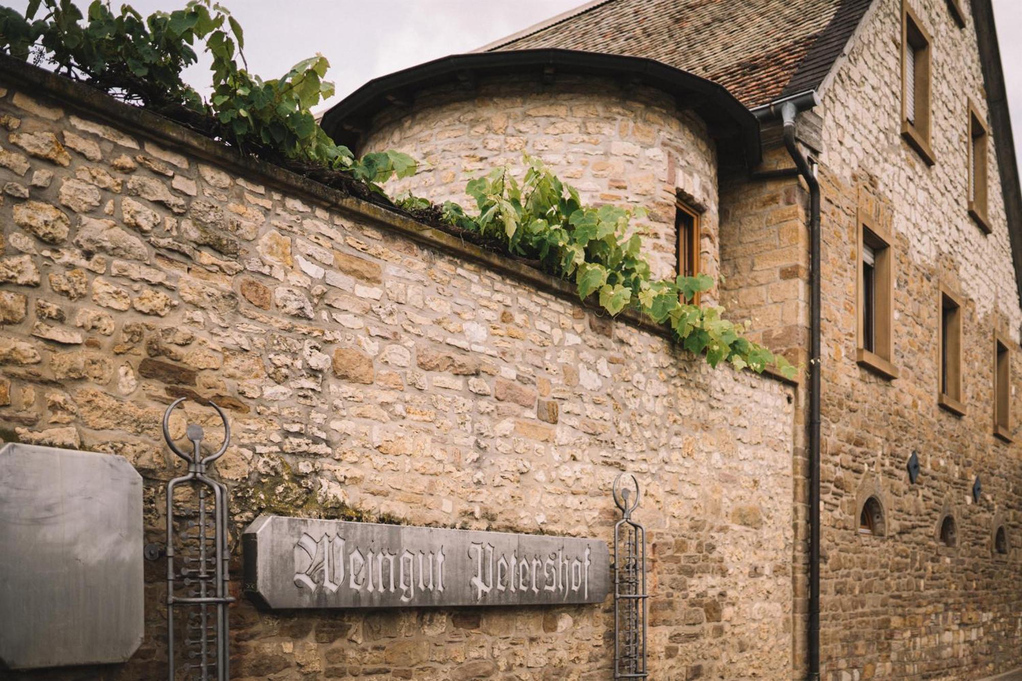 Weingut Petershof Lejlighed Alzey Eksteriør billede